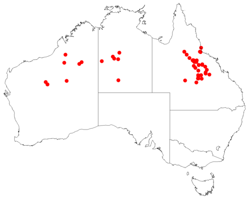 Comesperma pallidum: Comesperma pallidum occurrence data downloaded from Australasian Virtual Herbarium doi: https://doi.org/10.26197/ala.47a5572a-9a44-4824-8338-856b0ea66947