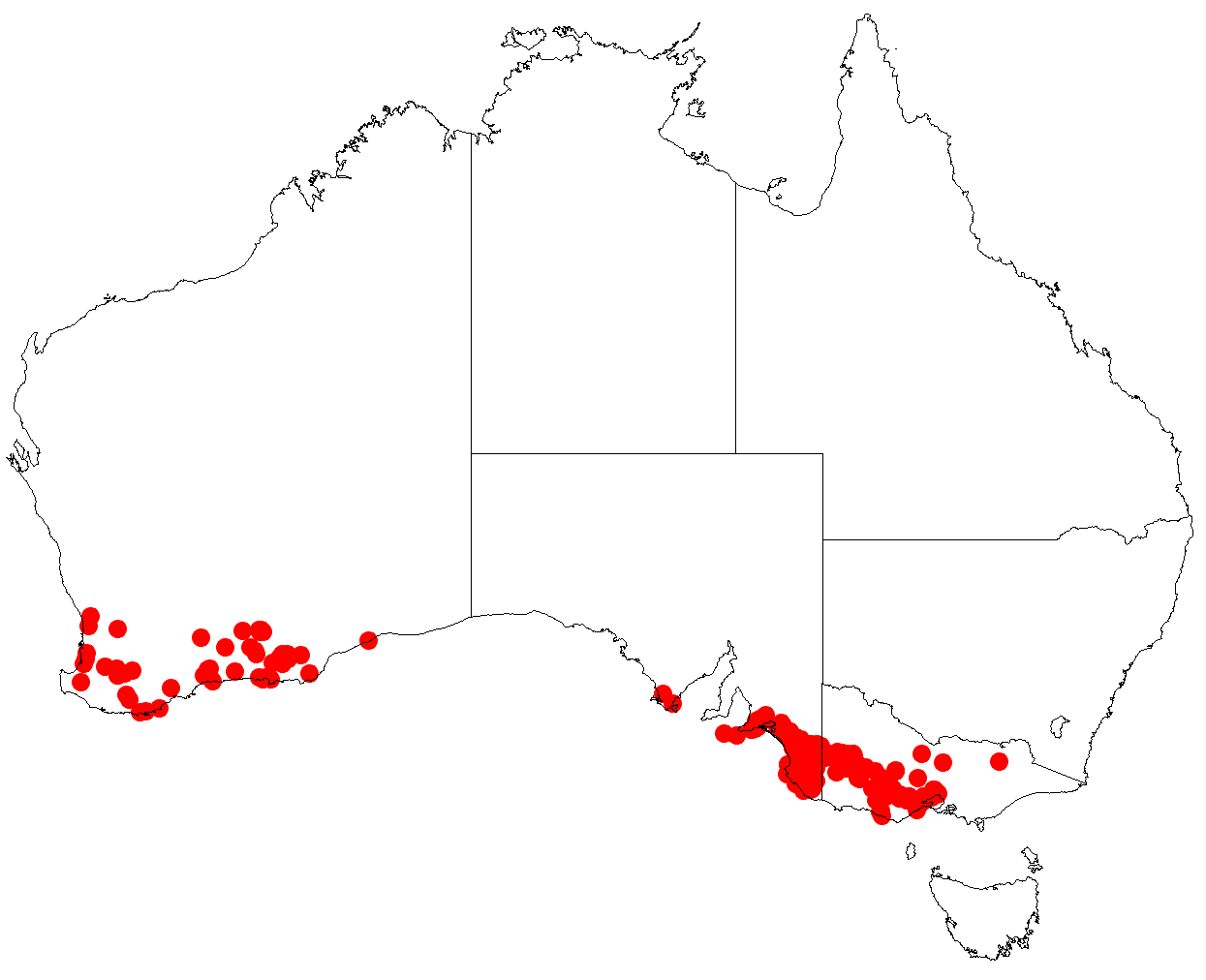 Comesperma polygaloides: Comesperma polygaloides occurrence data downloaded from Australasian Virtual Herbarium doi: https://doi.org/10.26197/ala.47a5572a-9a44-4824-8338-856b0ea66947