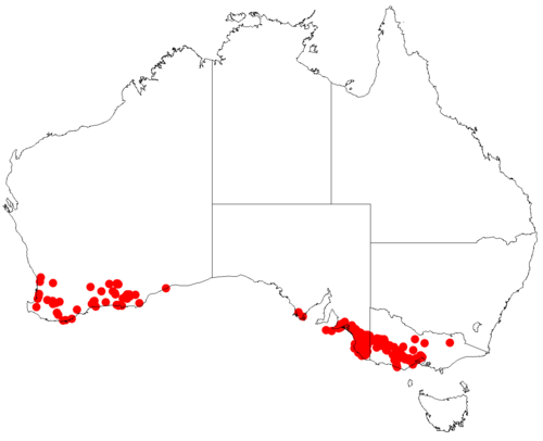Comesperma polygaloides: Comesperma polygaloides occurrence data downloaded from Australasian Virtual Herbarium doi: https://doi.org/10.26197/ala.47a5572a-9a44-4824-8338-856b0ea66947