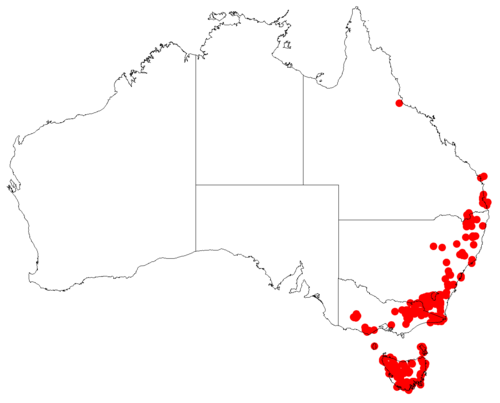 Comesperma retusum: Comesperma retusum occurrence data downloaded from Australasian Virtual Herbarium doi: https://doi.org/10.26197/ala.47a5572a-9a44-4824-8338-856b0ea66947