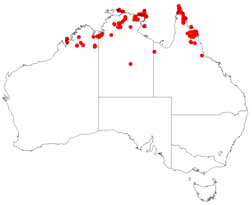 Comesperma secundum: Comesperma secundum occurrence data downloaded from Australasian Virtual Herbarium doi: https://doi.org/10.26197/ala.47a5572a-9a44-4824-8338-856b0ea66947
