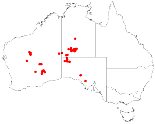 Comesperma viscidulum: Comesperma viscidulum occurrence data downloaded from Australasian Virtual Herbarium doi: https://doi.org/10.26197/ala.47a5572a-9a44-4824-8338-856b0ea66947