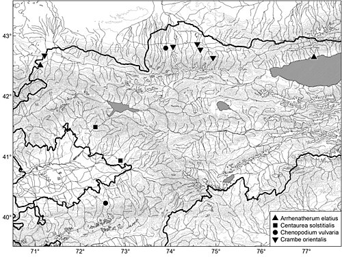 Crambe orientalis: Distribution of Arrhenatherum elatius, Centaurea solstitialis, Chenopodium vulvaria and Crambe orientalis in Kyrgyzstan.