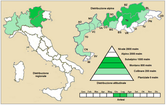 Crepis mollis: Crepis mollis - Distribuzione