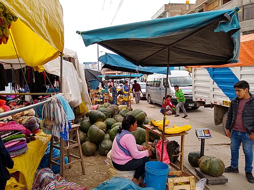 Winter squash: Andahuaylas Peru- Cucurbita maxima Zapollo-Macre seller