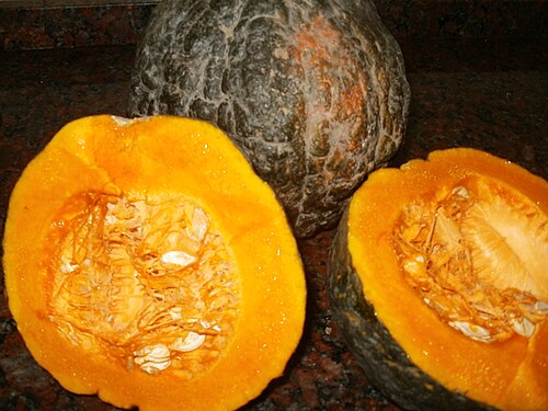 Crookneck squash: Cucurbita maxima x C. moschata , cultivar group Tetsukabuto. Photo taken in Buenos Aires, Argentina, winter 2012.