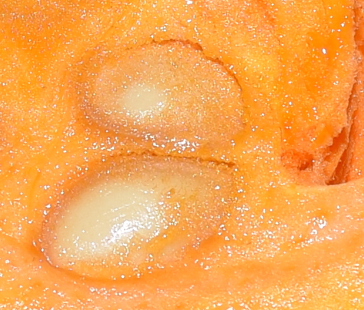 Crookneck squash: Cucurbita moschata (alguna variedad de anco rara) - semillas con lo que creo que es la capa de endocarpio adherida a ellas.