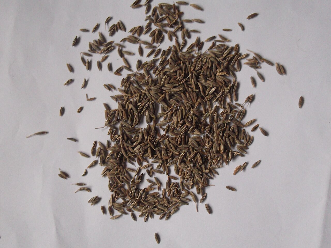 Cumin: Seed used in the cuisines.