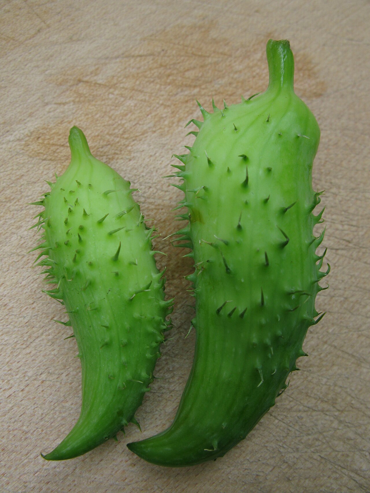 Cyclanthera: Inka-Gurke