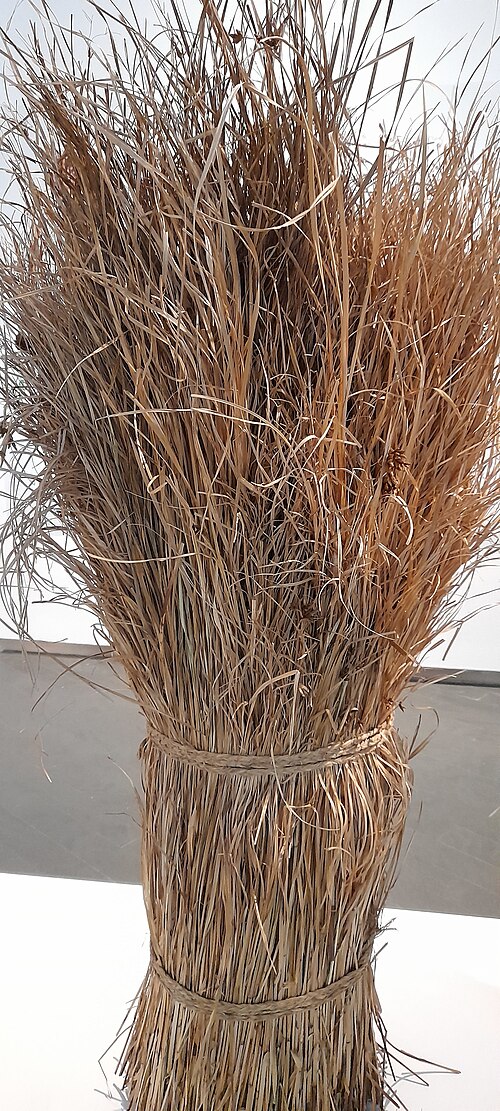 Nutgrass: Empleado en arquitectura tradicional española. Fotografía tomada de la exposición "Arquitectura Atemporal 2021"