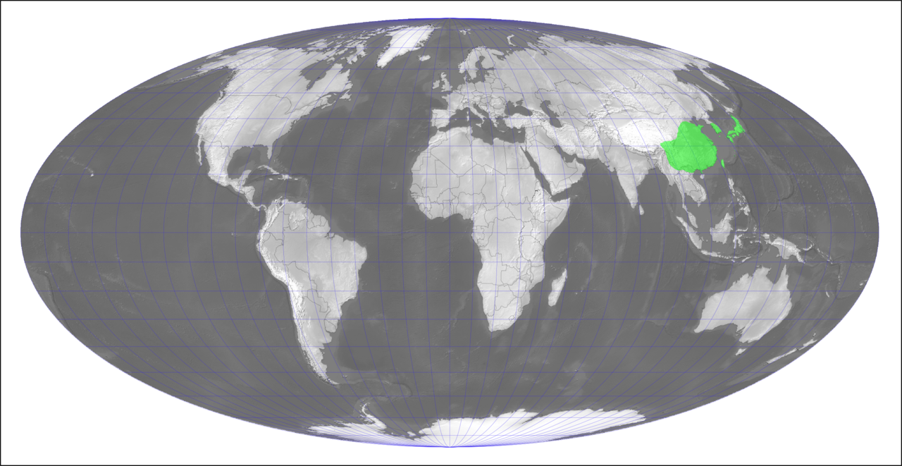 Asian netvein hollyfern: Distribution de Cyrtomium fortunei - Carte établie avec QGIS par Denis Prévôt - Fond image : Natural Earth ( http://www.naturalearthdata.com/ ), relief en nuanc