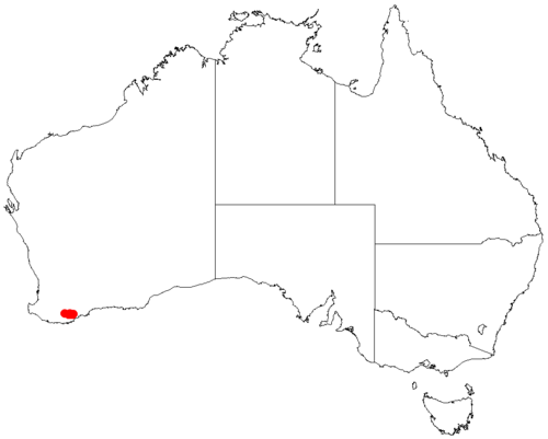 Darwinia collina: Darwinia collina occurrence data from Australasian Virtual Herbarium 2019-10-26 using doi: https://doi.org/10.26197/5db36a2a9a940