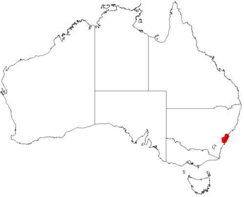 Darwinia grandiflora: Darwinia grandiflora occurrence data from Australasian Virtual Herbarium 2019-10-26 using doi: https://doi.org/10.26197/5db36a2a9a940