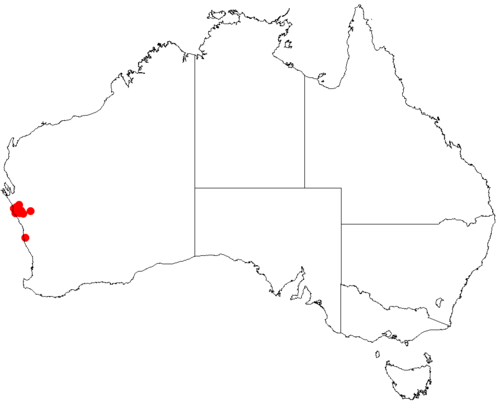 Darwinia virescens: Darwinia virescens occurrence data from Australasian Virtual Herbarium 2019-10-26 using doi: https://doi.org/10.26197/5db36a2a9a940