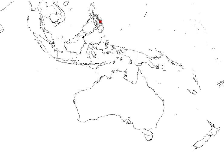 Decaisnina confertiflora: Decaisnina confertiflora Occurrence data from AVH downloaded 24 February 2019 using https://doi.org/10.26197/5c7236bbd71ad