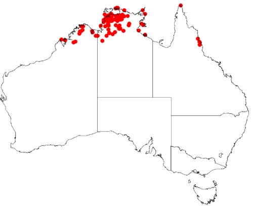 Decaisnina signata: Decaisnina signata Occurrence data from AVH downloaded 24 February 2019 using https://doi.org/10.26197/5c7236bbd71ad