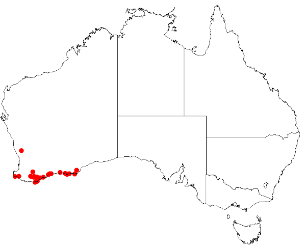 Desmocladus austrinus: Desmocladus austrinus Occurrence data downloaded from Australasian Virtual Herbarium on 24 January 2019 using doi: https://doi.org/10.26197/5c49320fd92ff