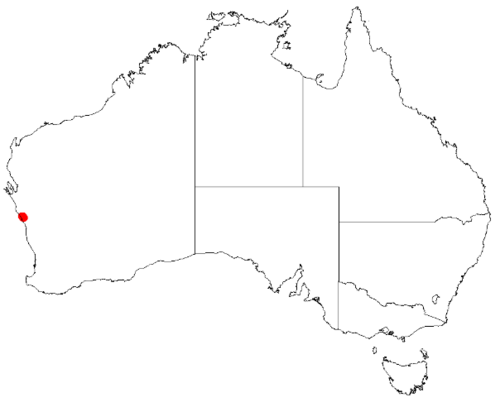 Desmocladus glomeratus: Desmocladus glomeratus Occurrence data downloaded from Australasian Virtual Herbarium on 24 January 2019 using doi: https://doi.org/10.26197/5c49320fd92ff
