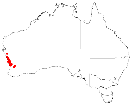 Desmocladus lateriticus: Desmocladus lateriticus Occurrence data downloaded from Australasian Virtual Herbarium on 24 January 2019 using doi: https://doi.org/10.26197/5c49320fd92ff