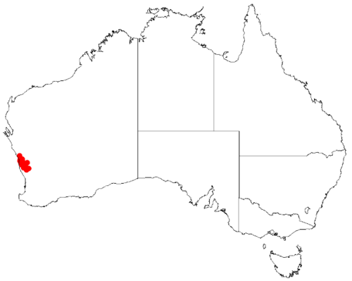 Desmocladus semiplanus: Desmocladus semiplanus Occurrence data downloaded from Australasian Virtual Herbarium on 24 January 2019 using doi: https://doi.org/10.26197/5c49320fd92ff
