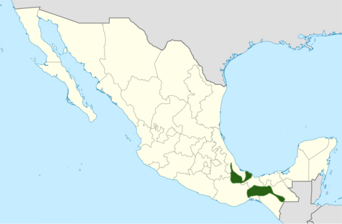 Disocactus macranthus: Distribución de Disocactus macranthus