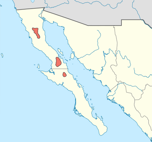 Few-flower liveforever: Species distribution map of Dudleya pauciflora, a succulent plant.