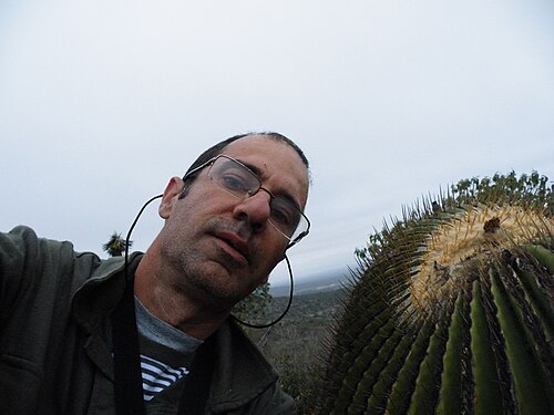Cactus: Near Santa Rita, San Luis Potosi