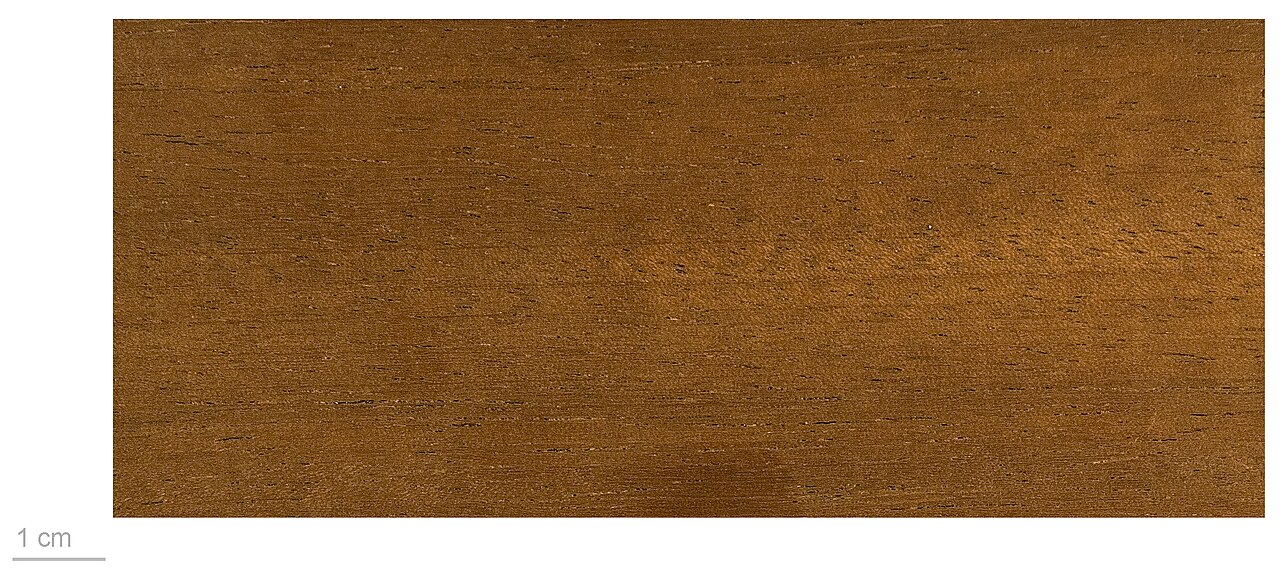 Cedar kokoti: Kosipo , wood