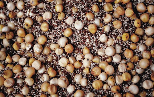Teff: This is an image of food from