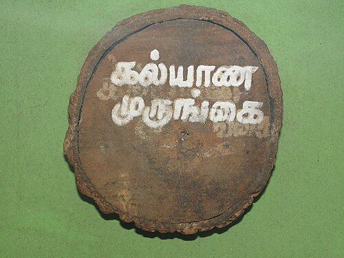 Tiger's claw: An Erythrina indica wood sample. An exhibit in Salem district exhibition, Tamil Nadu, India.