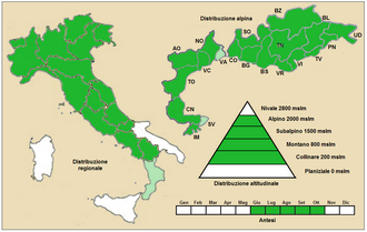 Euphrasia salisburgensis: Euphrasia salisburgensis - Distribuzione