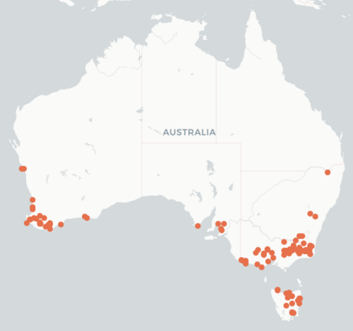 Euphrasia scabra: Map of distribution of Euphrasia scabra from the Atlas of Living Australia