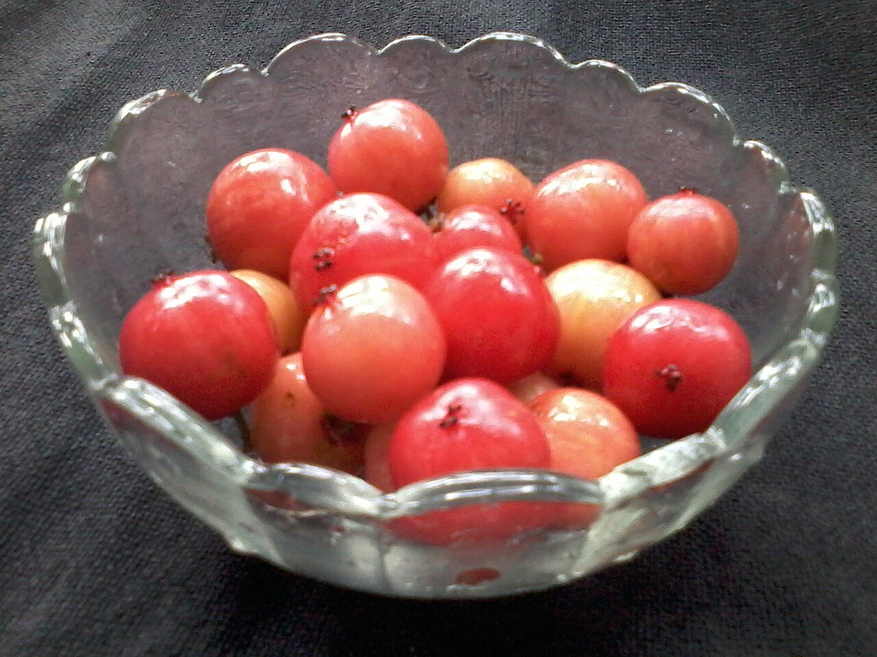 Indian plum: Flacourtia jangomas, Indian coffee plum , is a lowland and mountain rain forest tree in the Salicaceae or Willow Family. It is found in Asia especially in India