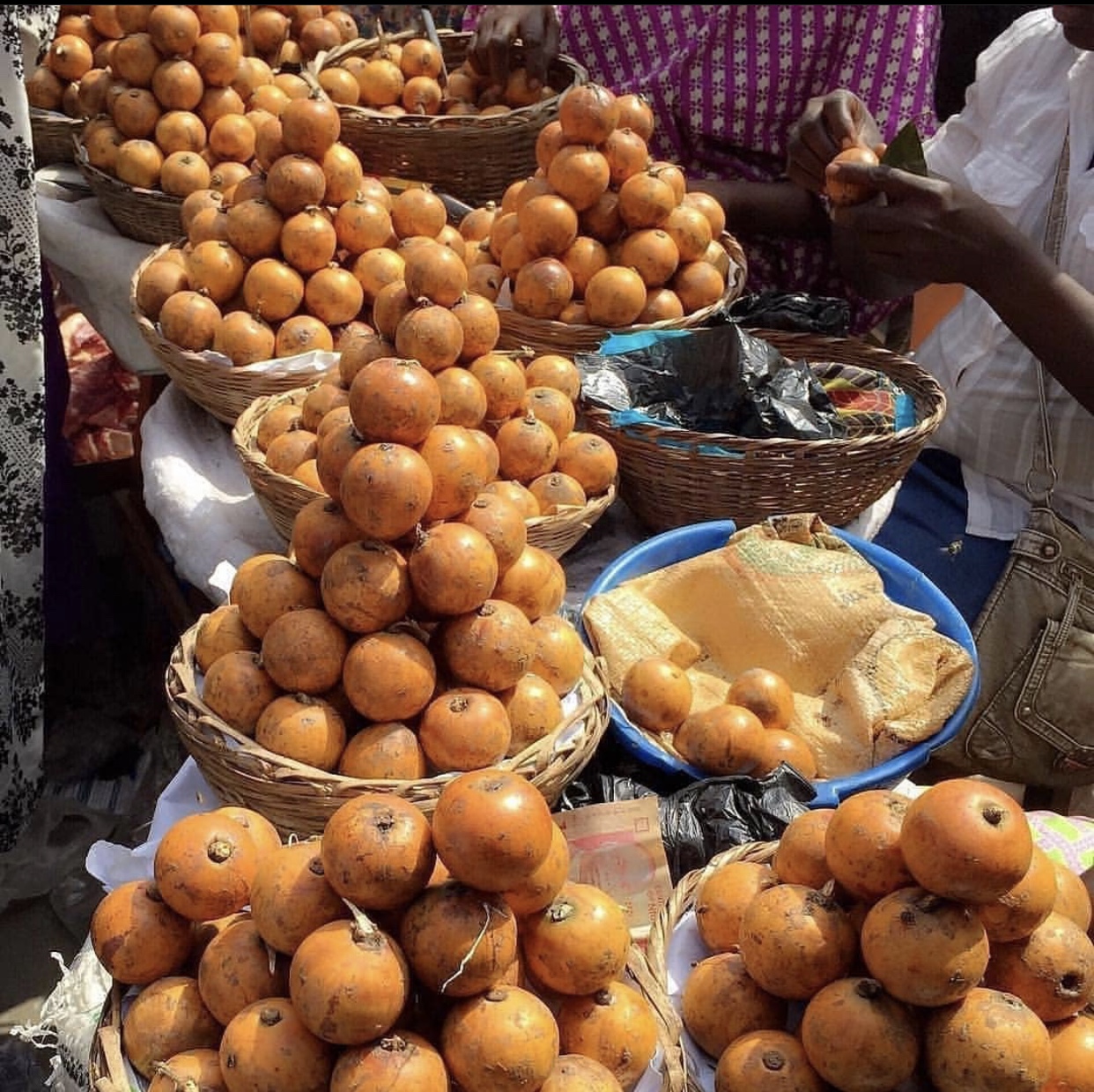 White star apple: African Star Apple fruit sold in bowls at a Ghanaian market