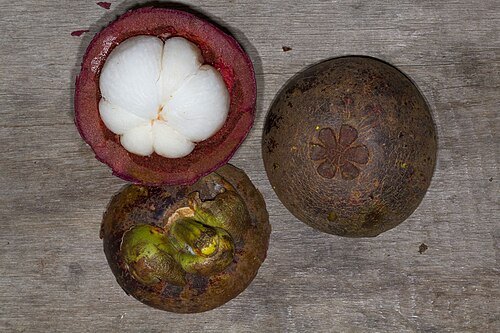 Mangostan: Indonesia: Sumatra, Aceh, Kutacane
