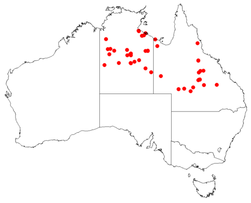 Goodenia macrocalyx: Velleia macrocalyx Occurrence data downloaded from [[Australasian Virtual Herbarium}AVH]] on 10 September 2018, https://doi.org/10.26197/5b95829e36509