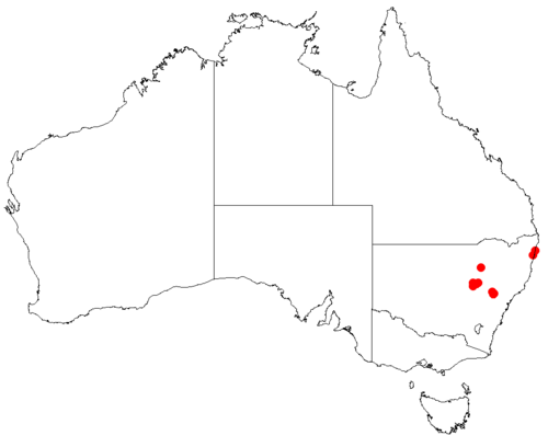 Goodenia parvisepta: Velleia parvisepta Occurrence data downloaded from [[Australasian Virtual Herbarium}AVH]] on 10 September 2018, https://doi.org/10.26197/5b95829e36509