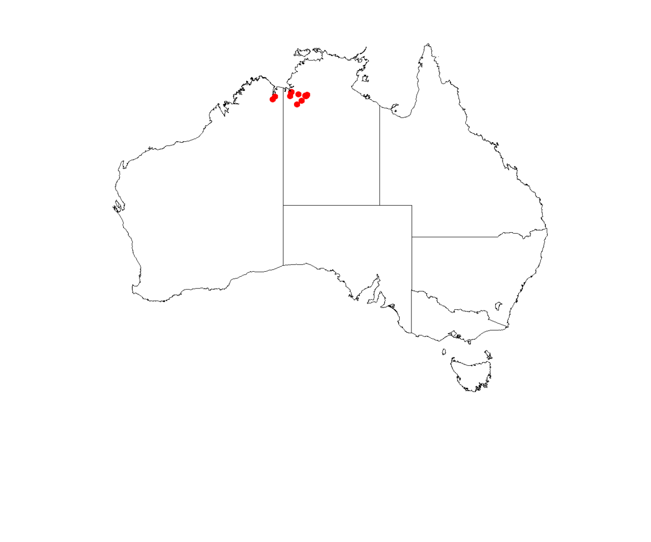 Haemodorum coccineum: Haemodorum subvirens