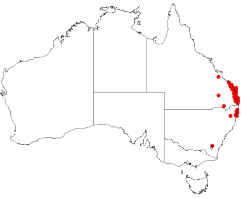 Hakea actites: Hakea actites Occurrence data downloaded from Australasian Virtual Herbarium on 22 November 2018 using https://doi.org/10.26197/5bf641ef8f684