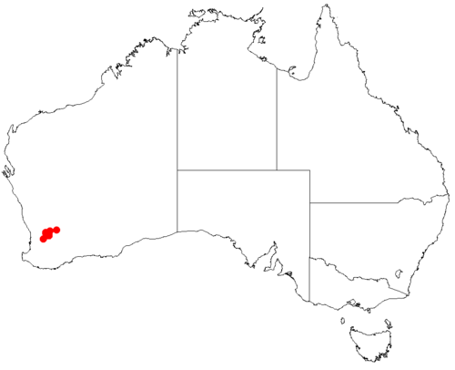 Column hakea: Hakea aculeata Occurrence data downloaded from Australasian Virtual Herbarium on 22 November 2018 using https://doi.org/10.26197/5bf641ef8f684