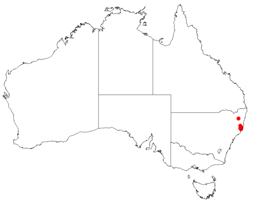 Hakea archaeoides: Hakea archaeoides Occurrence data downloaded from Australasian Virtual Herbarium on 22 November 2018 using https://doi.org/10.26197/5bf641ef8f684