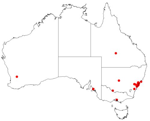 Hakea gibbosa: Hakea gibbosa Occurrence data downloaded from Australasian Virtual Herbarium on 22 November 2018 using https://doi.org/10.26197/5bf641ef8f684