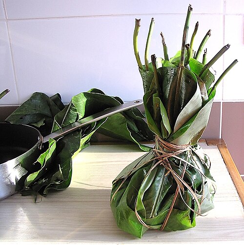 Haumania liebrechtsiana: Liboké - a freshly-wrapped bundle ready to cook. About ten large leaves, called 'nzomfi' were layered, then the center filled with the fresh ingredients, then t