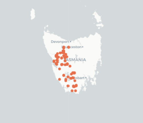 Hymenophyllum applanatum: Range map of Hymenophyllum applanatum from Atlas of Living Australia