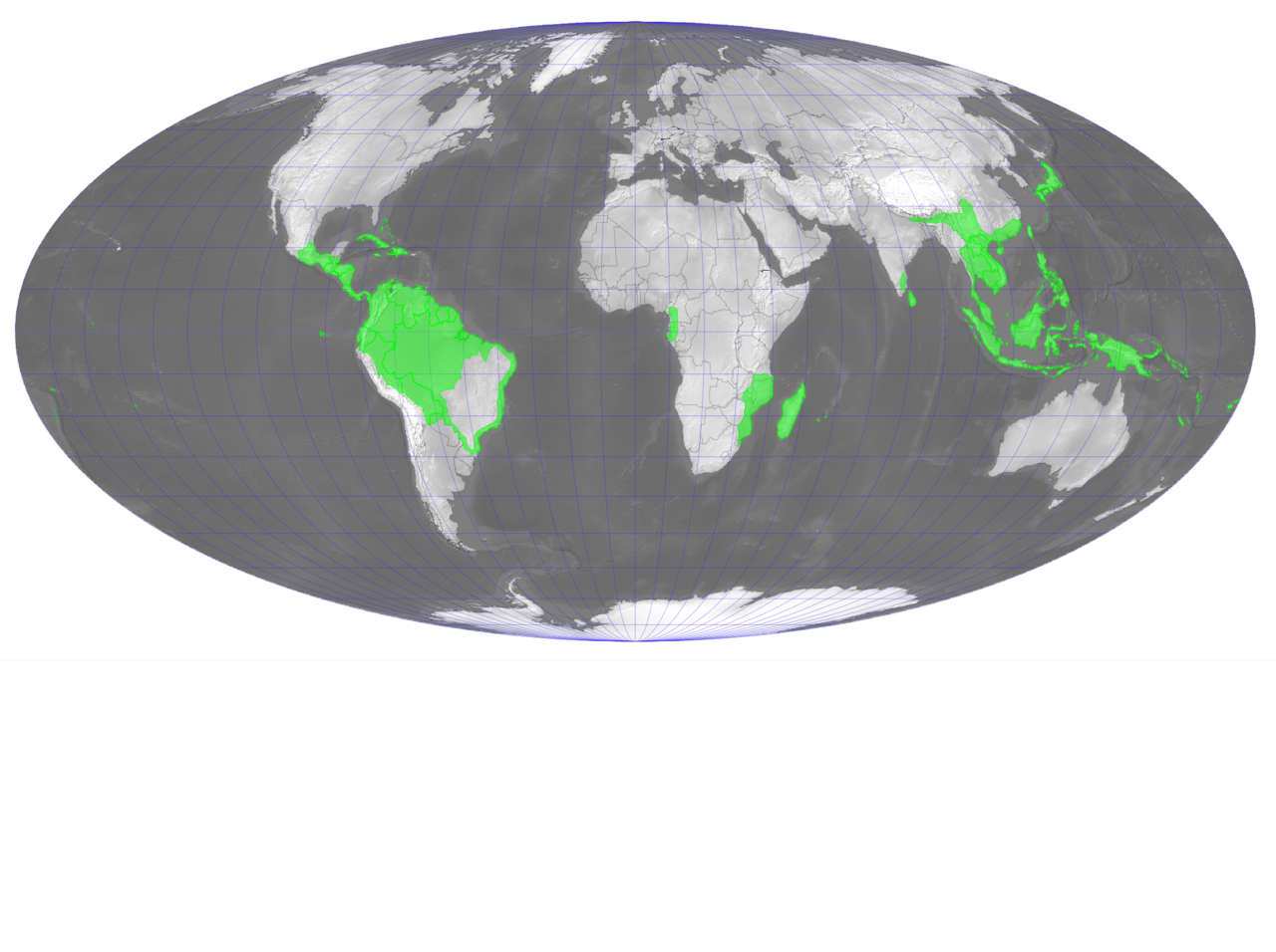 Smooth filmy fern: Distribution de Hymenophyllum polyanthos - Carte établie avec QGIS par Denis Prévôt - Fond image : Natural Earth ( http://www.naturalearthdata.com/ ), relief en