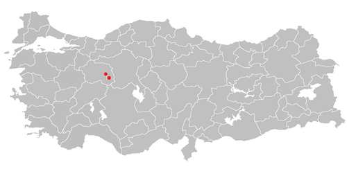 H. sechmenii: Two separate localities on the Arayit Mountain and between Kaymaz and Sivrihisar where Hypericum sechmenii is known to be found and the only two places where sp
