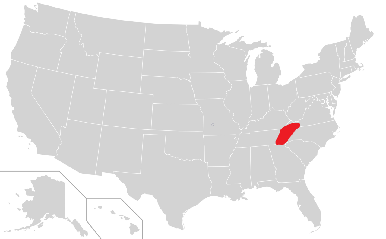 Hypericum × mitchellianum: Map of the United States with the distribution of Hypericum x mitchellianum in red
