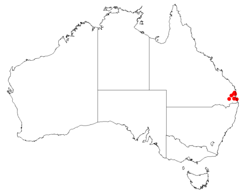 Natal indigo: Indigofera arrecta downloaded 18 November 2018 from Australasian Virtual Herbarium https://doi.org/10.26197/5bf13fc2346f8