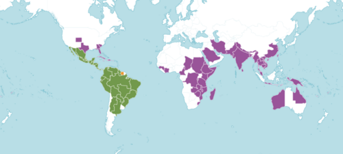 Gloria de la manana: Ipomoea carnea distribution