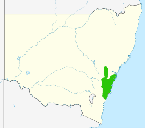 Narrow-leaf drumsticks: Distribution map of Isopogon anemonifolius (Salisb.) Knight, based on official New South Wales Herbarium records. Original map is File:Australia New South Wales